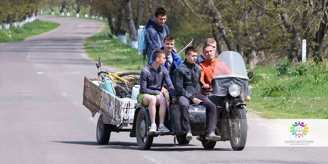 CLT Pănășești la văruirea copacilor